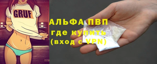 спиды Богданович