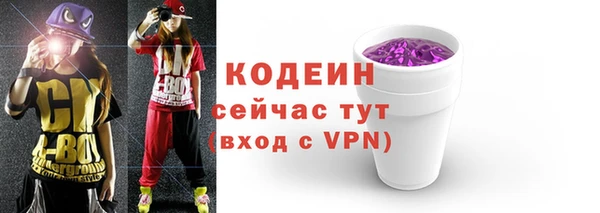спиды Богданович