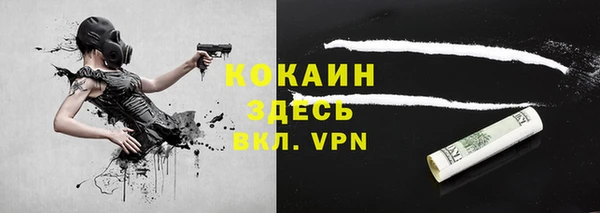таблы Богородицк