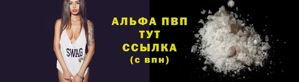 скорость Белокуриха