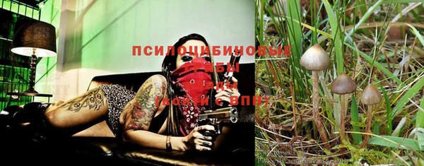 крисы Семёнов